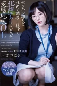 ADN-388 Sannomiya Tsubaki เย็ดสาวแว่นหื่นกามคาออฟฟิศ